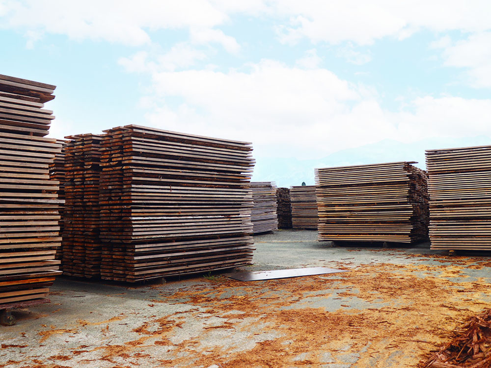 木材とおがくず、2つのかたちで地域を支える画像