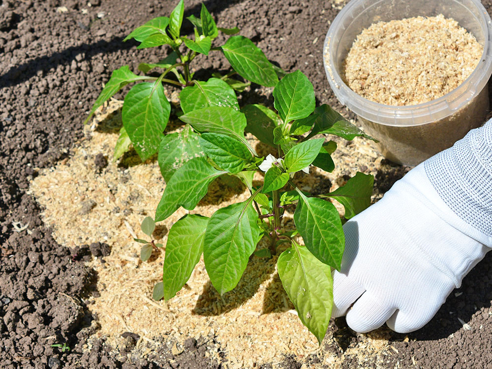 農業用資材として画像